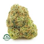 Buy Cannabis Sundae Driver AA at MMJ Express Online Shop