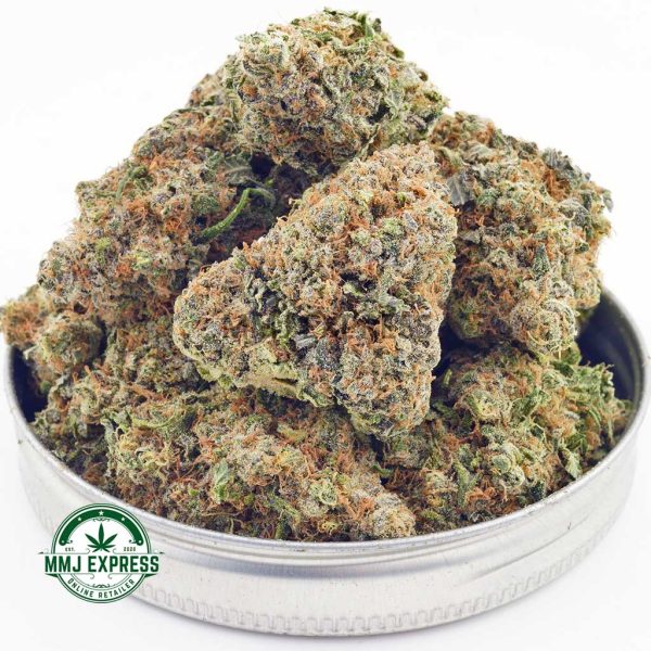 Buy Cannabis Khalifa Kush AAAA at MMJ Express Online Shop