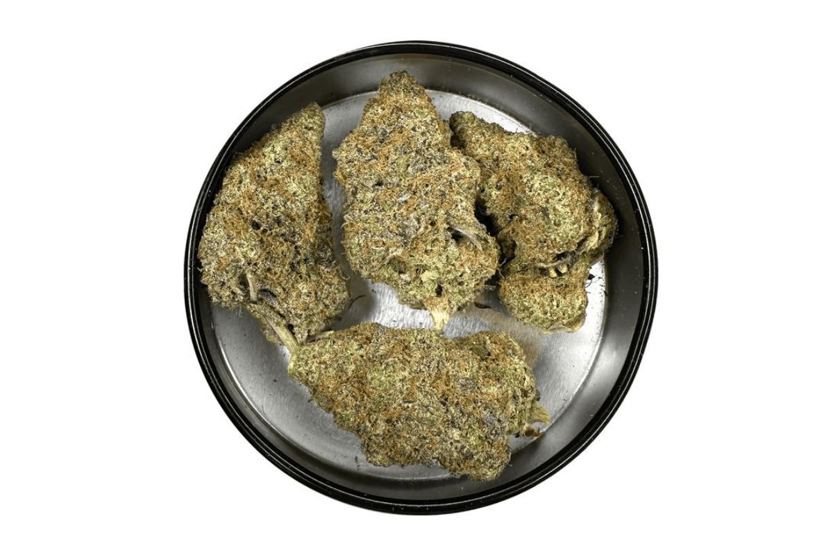 Green Crack strain is a potent, sativa-leaning hybrid you should puff on if you haven’t. This bud will get you feeling euphoric, energetic & focused. 