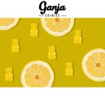 Ganja LemonBears MMJ