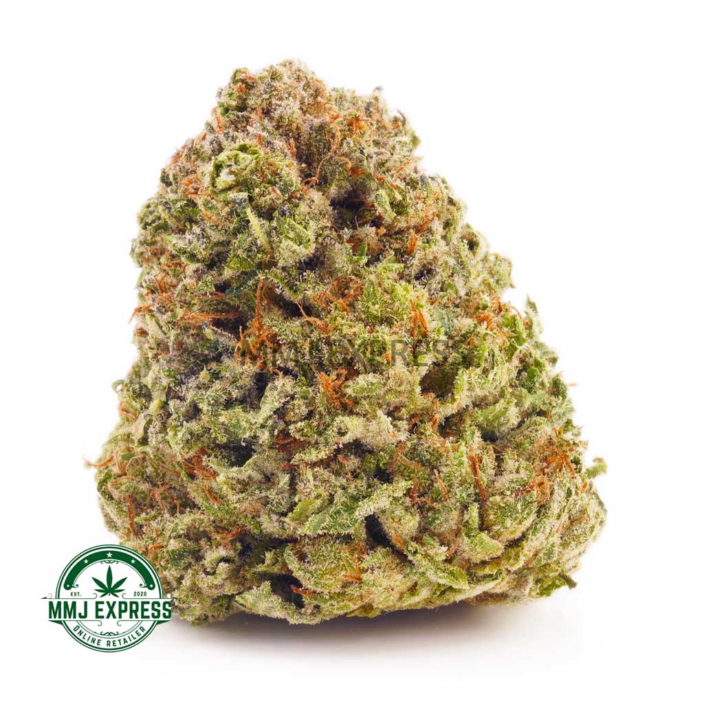 Buy Cannabis Blueberry Pie AA at MMJ Express Online Shop