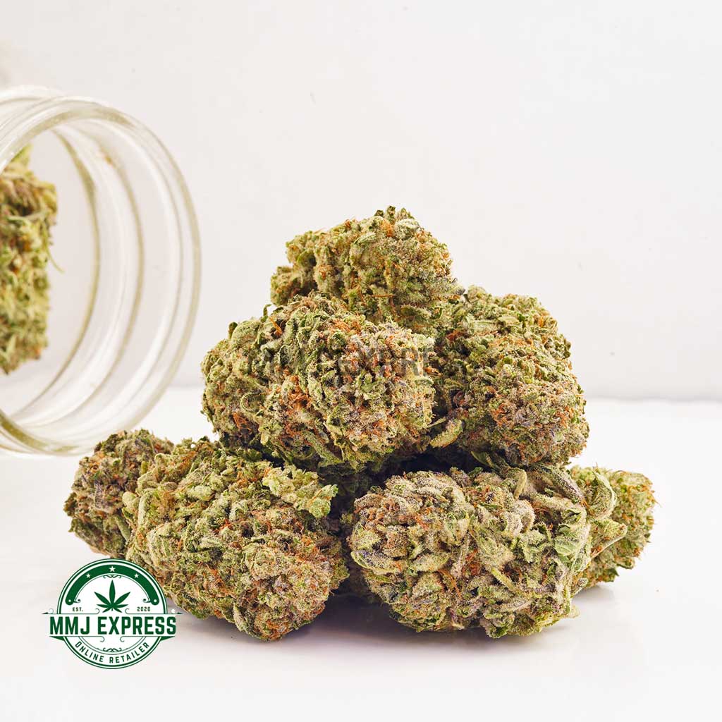 Buy Cannabis Blueberry Pie AA at MMJ Express Online Shop