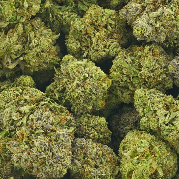 Buy King Louie XIII AAAA Online - MMJ Express