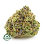 Buy Cannabis Tropical Punch AA at MMJ Express Online Shop