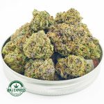 Buy Cannabis Tropical Punch AA at MMJ Express Online Shop