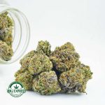 Buy Cannabis Tropical Punch AA at MMJ Express Online Shop