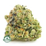Buy Cannabis Pink Picasso AAAA at MMJ Express Online Shop