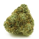 Albinorhino MMJ