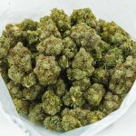 Albinorhino3 MMJ