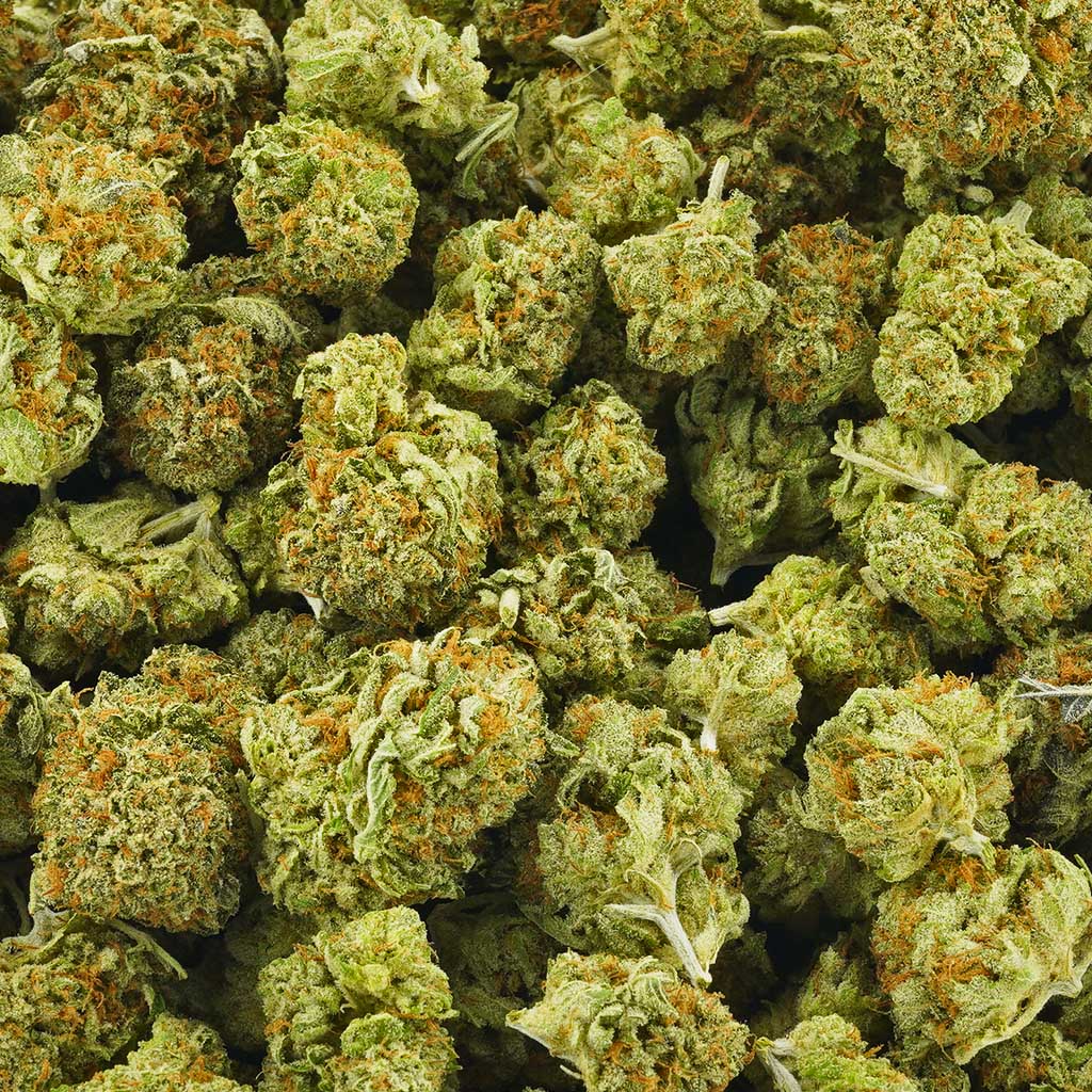 Buy West Coast Diesel AAA Online - MMJ Express