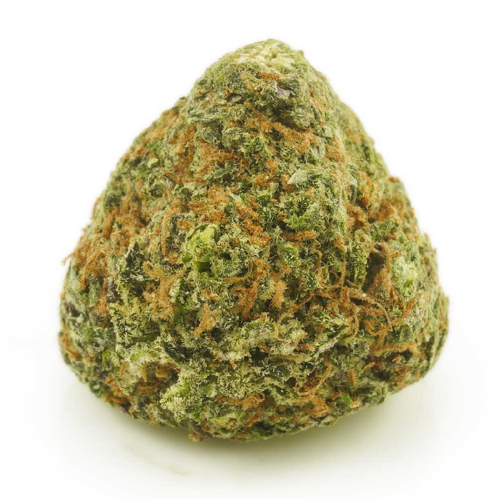 gorilla cookies strain gorilla cookies strain