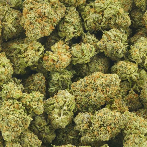 Shop All Sativa Flowers - MMJ Express Canada's Best Online Dispensary