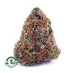 Buy Cannabis Dosi Cake AA at MMJ Express Online Shop