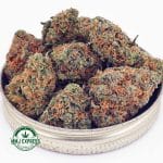 Buy Cannabis Dosi Cake AA at MMJ Express Online Shop