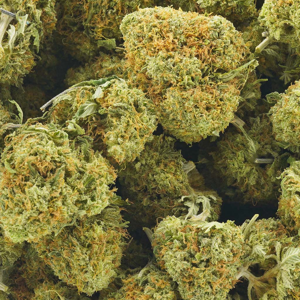 Shop Sour Diesel AA Strain - MMJ Express Premium Online Dispensary