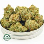 Buy Cannabis Pie Hoe AAA at MMJ Express Online Shop