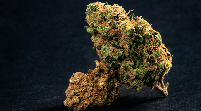 The Ultimate Guide to Types of Cannabis Strains