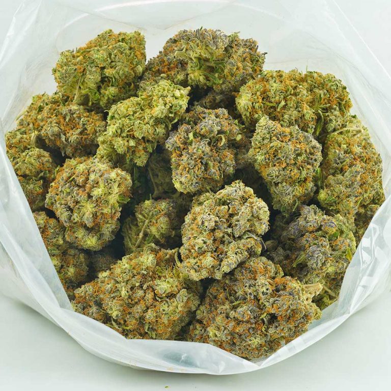 Gorilla Cookies AAAA MMJ Express