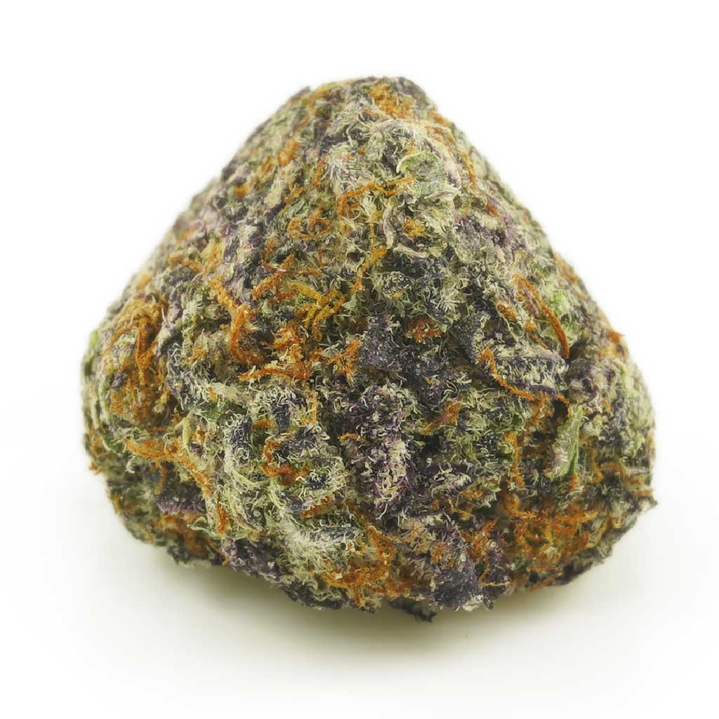 Purple Gas Mask AAAA MMJ Express