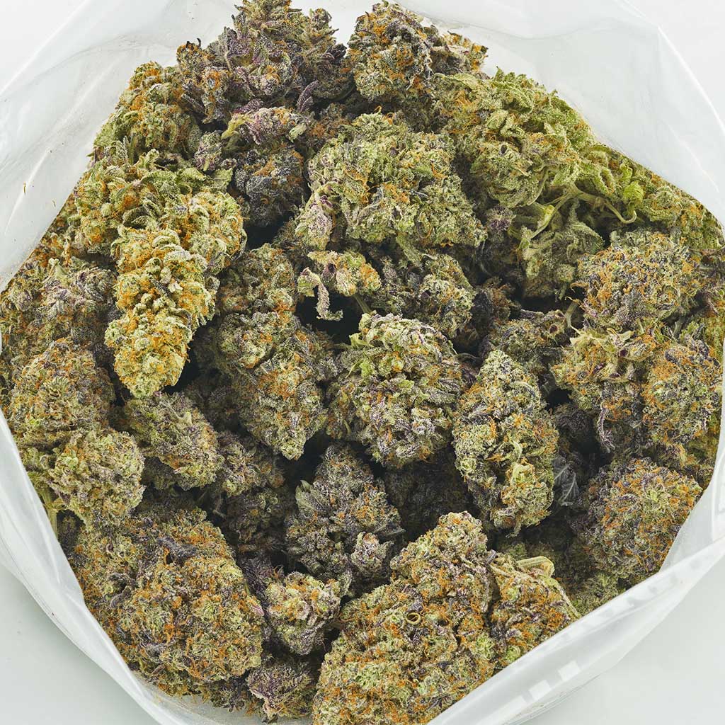 Purple Gas Mask AAAA MMJ Express