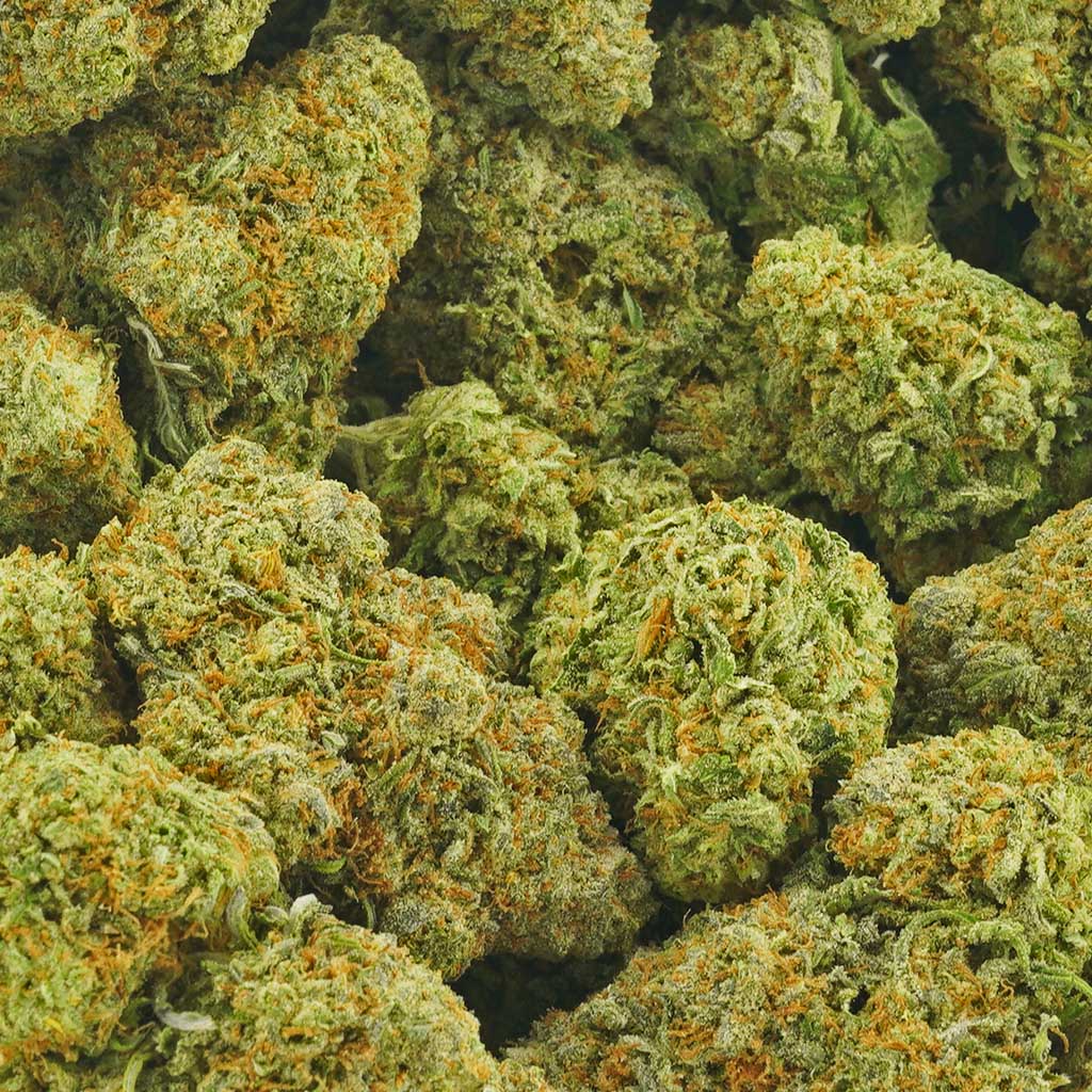 Shop All Sativa Flowers - MMJ Express Canada's Best Online Dispensary