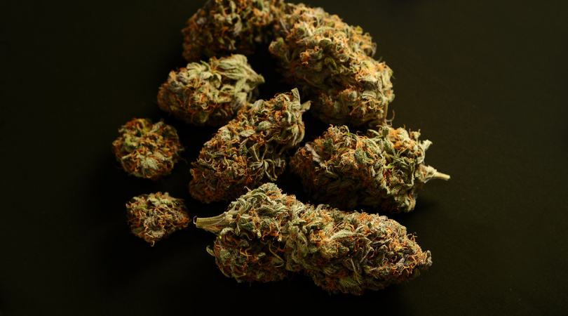 The Science of Sativa Cannabis Strains