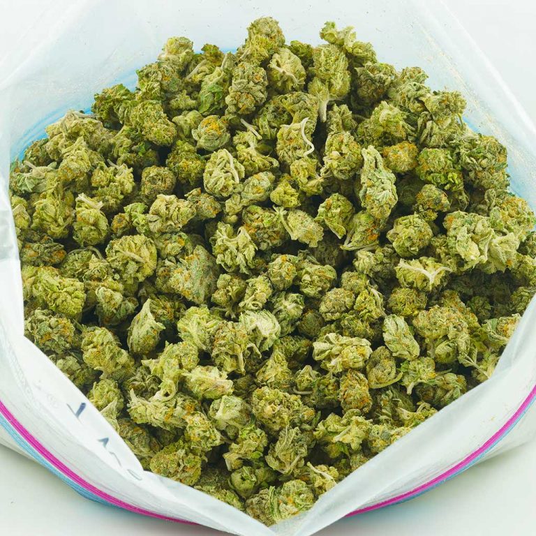 Buy West Coast Diesel AA (Popcorn Nugs) Online MMJ Express