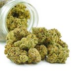 Buy Cannabis Dolato AAAA at MMJ Express Online Shop