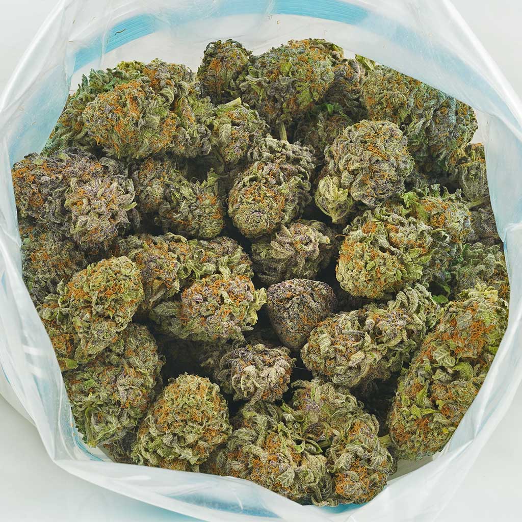 Buy Tropicana Cookies AAAA Online MMJ Express
