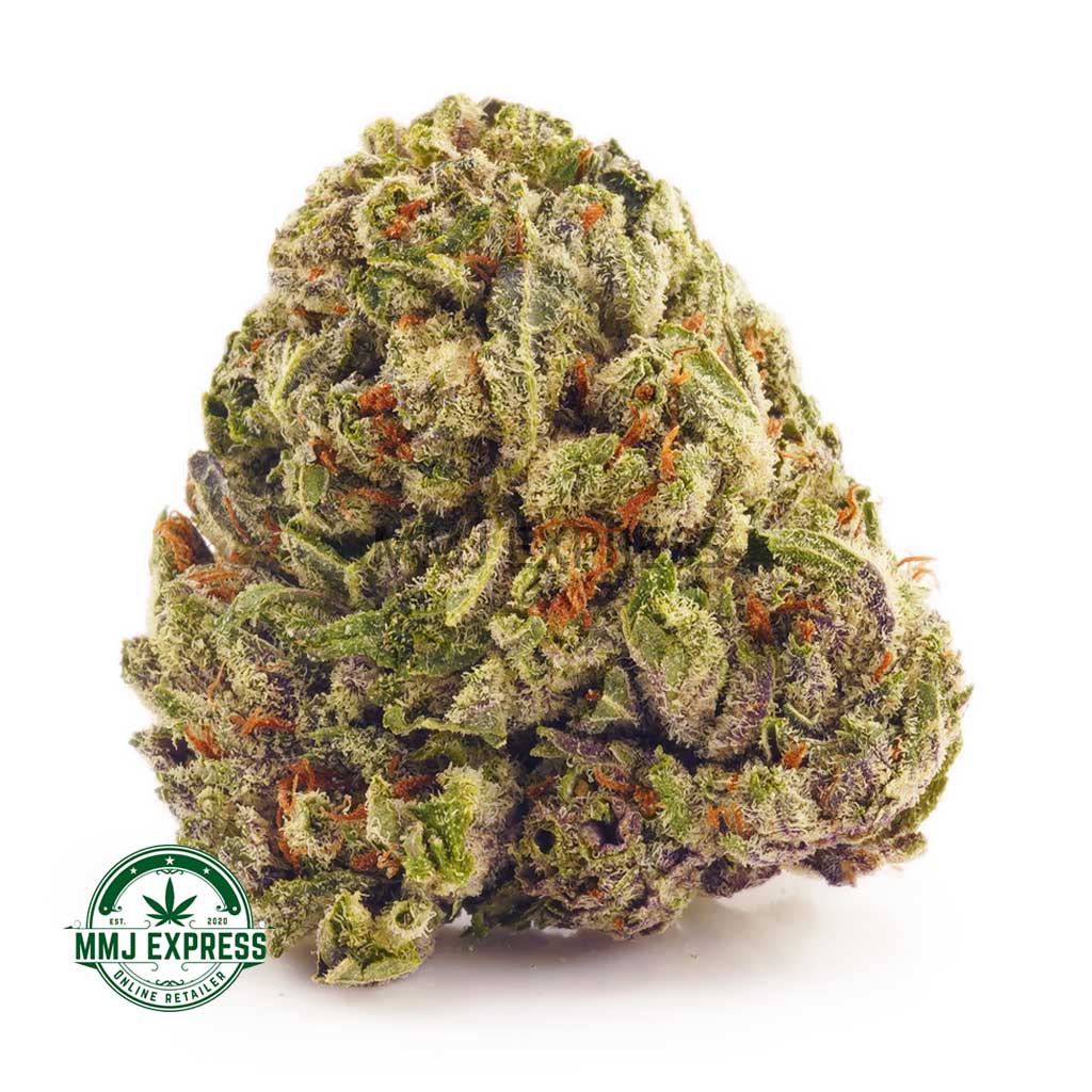 Buy Cannabis Purple Kush AA at MMJ Express Online Shop