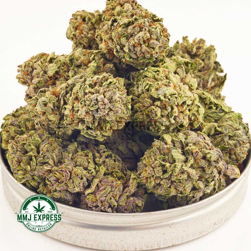 Buy Cannabis Purple Kush AA at MMJ Express Online Shop