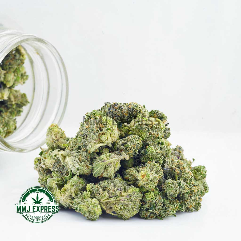 Buy Cannabis Purple Voodoo AAAA (Popcorn Nugs) MMJ Express Online Shop