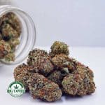 Buy Cannabis Ghost Train Haze AAAA at MMJ Express Online Shop