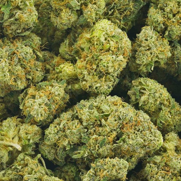 Buy Mango Sherbet AAAA Online - MMJ Express