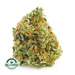 Buy Cannabis Purple Cotton Candy AA at MMJ Express Online Shop