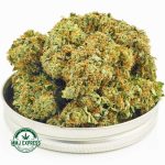 Buy Cannabis Purple Cotton Candy AA at MMJ Express Online Shop