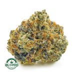 Buy Cannabis Gorilla Fuel AA at MMJ Express Online Shop