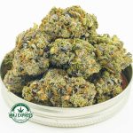 Buy Cannabis Gorilla Fuel AA at MMJ Express Online Shop