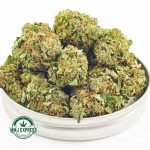 Buy Cannabis MAC 10 AA at MMJ Express Online Shop