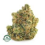 Buy Cannabis Blue Diesel AAA at MMJ Express Online Shop