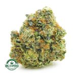 Buy Cannabis Apollo 13 AAAA at MMJ Express Online Shop