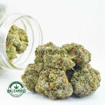 Buy Cannabis Apollo 13 AAAA at MMJ Express Online Shop