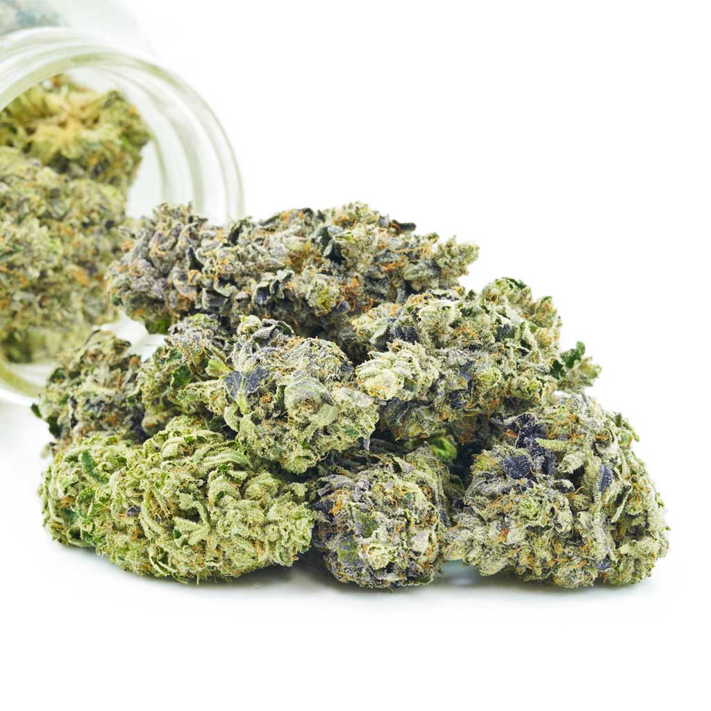 Buy Cannabis Blueberry Gas AAAA at MMJ Express Online Shop