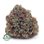 Buy Cannabis Master Kush AA at MMJ Express Online Shop