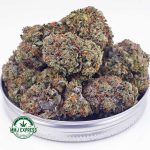 Buy Cannabis Master Kush AA at MMJ Express Online Shop