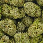 Buy Cannabis Strawberry Sour Diesel AAAA at MMJExpress Online Shop