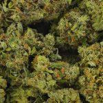 Buy Cannabis Maui Sunset AA at MMJExpress Online Shop