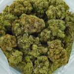 Buy Cannabis Maui Sunset AA at MMJExpress Online Shop