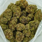 Buy Cannabis Blue Gelato AAAA Indica Hybrid at MMJ Express Online Shop