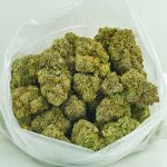 Buy Cannabis Tropic Truffle AAAA at MMJ Express Online Shop